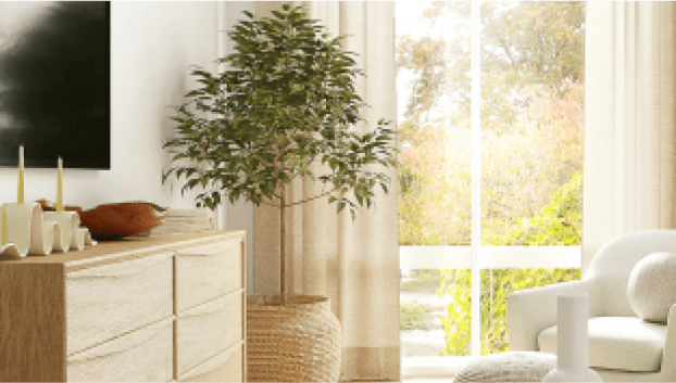 写真:白とベージュを基準とした家具が配置されてる部屋写真の観葉植物と窓辺が切り取られています。