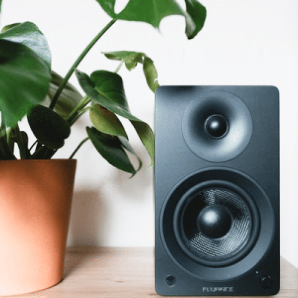 写真:黒のスピーカーと観葉植物が一緒に写っています